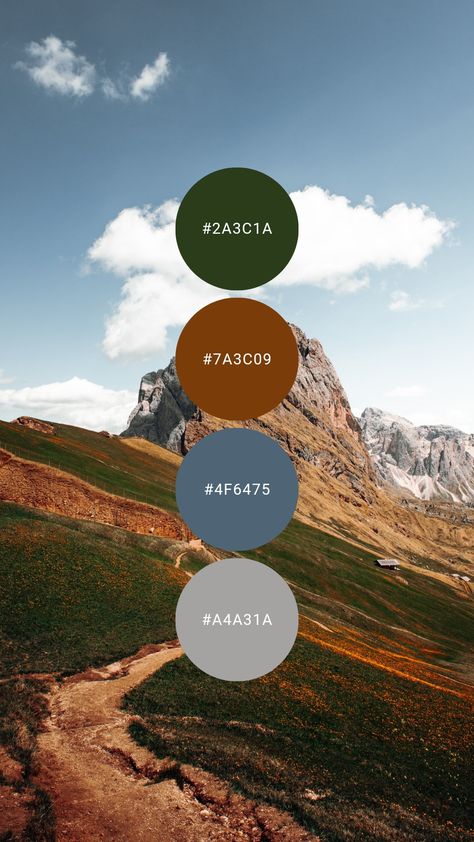 Cool earth tones like dark pine, steel blue, and grey are perfect together. Try it in the home office, garage, gym, or bachelor apartment / condo. #colourpalette #colorpalette #colour #color #palette #brown #mountain #masculine #rustic #earthy Blue Green Earth Tone Color Palette, Grey And Earth Tone Bedroom, Masculine Green Color Palette, Blue Green And Neutral Color Palette, Green Blue Rust Color Palette, Gray Brown Blue Green Color Palette, Green Brown Blue Color Palette, Granola Color Palette, Color Palette Mountain