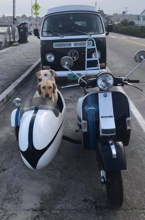 Scooter With Sidecar, Moped With Sidecar, Scooter Sidecar, Dog Tumblr, Classic Vespa, Biking With Dog, Vespa Px, Old Vintage Cars, Motorcycle Sidecar