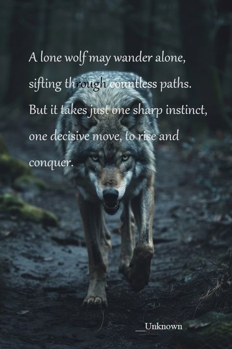 Pins reflecting the strategic nature of the lone wolf. Black Wolf Aesthetic, Wolf Mentality, Wolf Pack Quotes, Lone Wolf Quotes, The Lone Wolf, Wolf Quotes, Strong Mind Quotes, Wolf Spirit Animal, Wolf Spirit