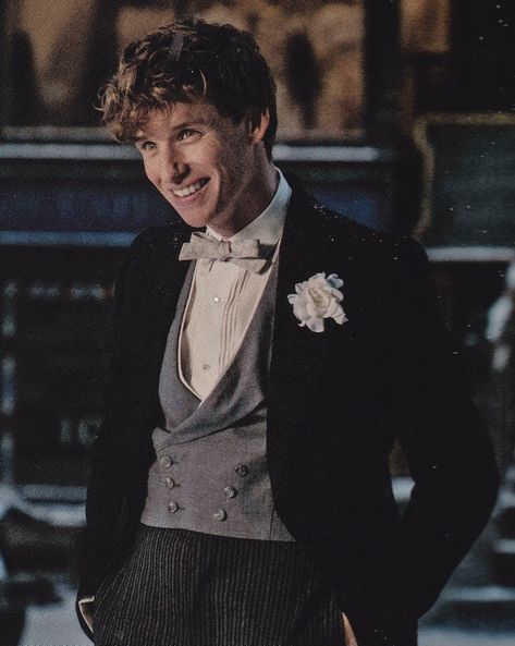 Newt Scamander Aesthetic, Eddie Redmayne Fantastic Beasts, Beau Film, Newt Scamander, Eddie Redmayne, Fantastic Beasts And Where, Fictional Crushes, Harry Potter Characters, Harry Potter Universal