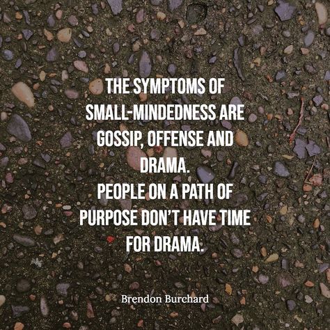 Brendon Burchard on Instagram: “People on a path of purpose don’t have time for drama. Tune out the gossip, avoid the useless social media banter and accusation machine,…” Social Media Detoxing, Gossip Quotes, Brendon Burchard, Instagram People, Fake People, Strong Quotes, Stay Focused, Life Motivation, Words Quotes