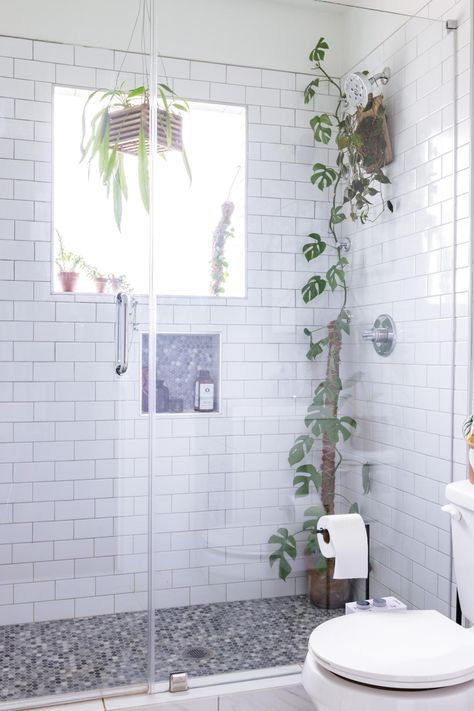 Shower Plants, Micro Studio, Houseplant Collection, White Tile Shower, Plants Photography, Growing Herbs Indoors, Plant Store, Backyard Buildings, Plants Home