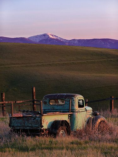 Country Backgrounds, Western Photography, Rusty Cars, Old Pickup, Old Truck, Old Pickup Trucks, Classic Cars Trucks Hot Rods, Classic Pickup Trucks, Western Aesthetic