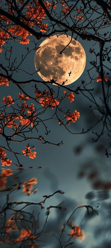 Beautiful Moon Pictures, Glittery Wallpaper, Pretty Wallpapers Tumblr, Pretty Landscapes, Moon Photography, Beautiful Wallpapers Backgrounds, Images Esthétiques, Phone Wallpaper Images, Night Sky Photos