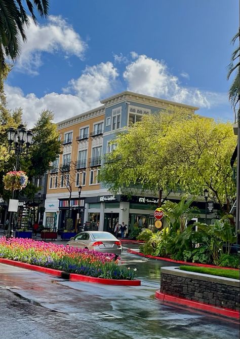 Spring Aesthetic Flowers, Row Aesthetic, Santana Row, Aesthetic Shopping, Tulips Spring, Aesthetic Spring, Aesthetic Flowers, Flowers Aesthetic, Spring Tulips