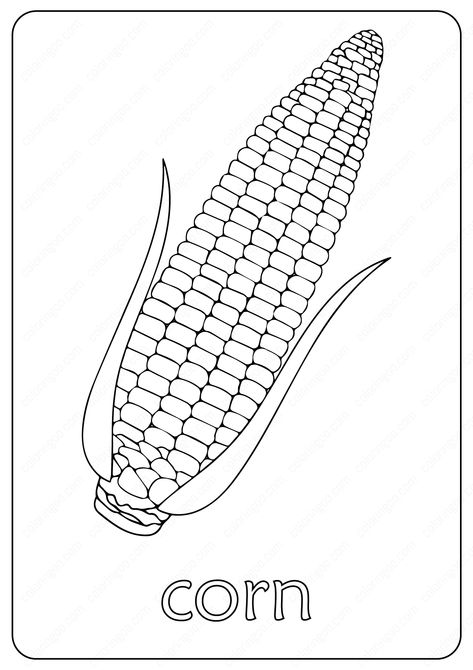 Free Printable Corn Maize Coloring Pages #free #printable #corn #maize #coloring #painting #drawing #page #pages #coloringpage #coloringpages #cartoon #outlines #illustration Corn Template, Corn Drawing, Corn Maize, Indian Corn, Preschool Activities Toddler, Ears Of Corn, Coloring Page Ideas, Pokemon Coloring Pages, Printable Pictures