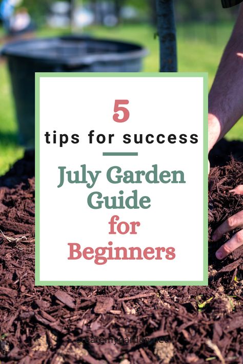 Want to create a productive summer garden with ease? 🌻 Discover our July Garden Guide for Beginners: 5 Tips for Success, and learn everything you need to know about garden tasks, vibrant summer gardens, and easy tasks that will save you time and energy! Ready to make gardening a breeze this July? 🌞 Check out this blog post to make gardening easy in July! 🌼 Backyard Veggie Garden, Productive Summer, What To Plant When, Garden Checklist, July Garden, Summer Gardens, Self Watering Containers, Easy Gardening, Fall Vegetables