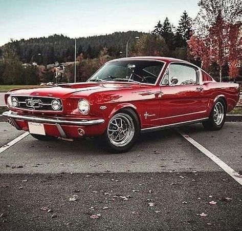 Car Mustang, 1965 Ford Mustang, 1967 Mustang, 1965 Mustang, Old Vintage Cars, Ford Mustang Fastback, Mustang Fastback, Old School Cars, 13 Reasons