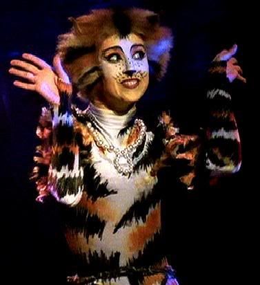 Rumpleteazer is my name! Acrobatics is my game! I have a twin brother, Mungojerrie, who helps me cause a commotion or steal some stuff like my precious necklace around my neck! Cats The Musical Costume, Jellicle Cats, Cat Yawning, Dog Jokes, Cats Musical, Cat Background, Cat Pose, The Great White, Cat Character