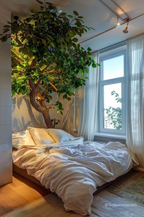 In this modern bedroom, the main attraction stands proudly on the corner of the bed. Despite its name, the weeping fig tree is a design choice that can bring a smile to your face by adding freshness to your room. Room Bed Design, Weeping Fig Tree, Weeping Fig, Room Bed, Main Attraction, Rest And Relaxation, Fig Tree, Tree Designs, Bed Design