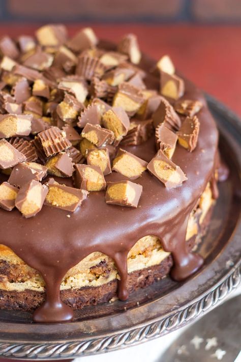 Peanut Butter Cup Brownie Cheesecake Picture - Food Fanatic Brownie Cheesecake Recipe, Cup Brownie, Reeses Cheesecake, Cup Cheesecake, Showstopper Dessert, Peanut Butter Cup Brownies, Peanut Butter Cup Cheesecake, Chocolate Peanut Butter Cheesecake, Cheesecake Brownie