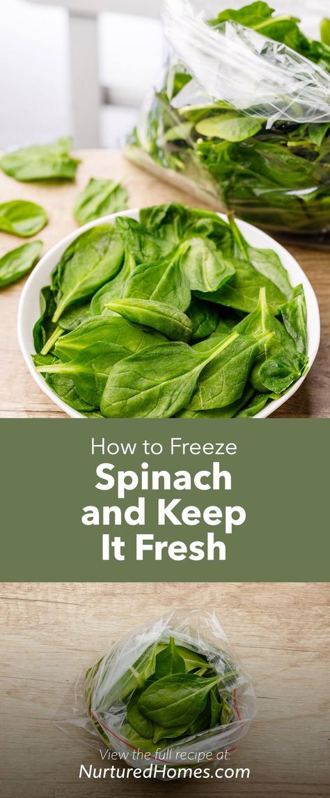 Freeze Spinach, Best Spinach Recipes, Spinach Dip Easy, Avocado Smoothie Recipe, Recipes Veg, Spinach Benefits, Yummy Veggies, Vegetable Salad Recipes, Salads Recipes