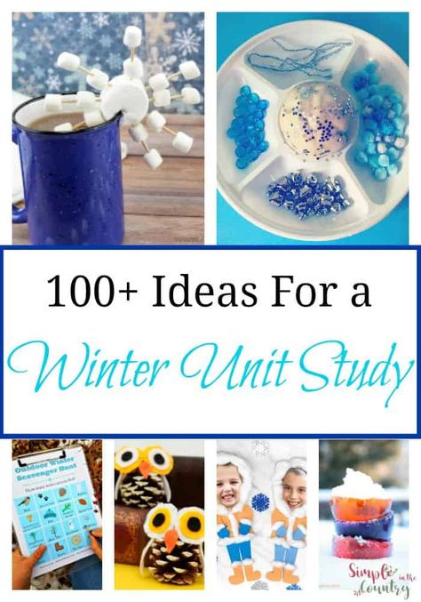 100+ ideas for a Winter Unit Study Homeschool Unit Study Ideas, Winter Unit Study, Preschool Winter Worksheets, Snowflake Recipes, Snowy Owl Craft, Unit Study Ideas, Winter Sensory Bin, Penguin Cookies, Polar Bear Craft