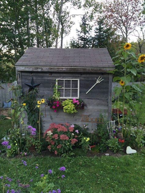 She’d Landscaping, Rustic Cabin Landscaping Ideas, Wheelbarrel Ideas, Landscaping Around Shed Backyards, Cottage Garden Sheds, Garden Shed Interiors, Rustic Shed, Small Garden Shed, Shed Landscaping