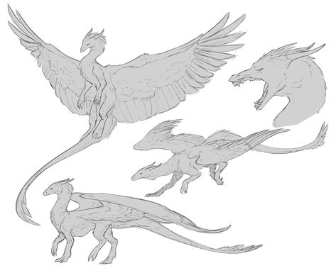 Dragon Arms Reference, Dragon Oc Reference, Dragons Drawing Reference, Flying Dragon Reference, Tairn And Andarna Drawing, Dragon Dynamic Pose, Armored Dragon Art, Two Legged Dragon, Dragon Leg Reference