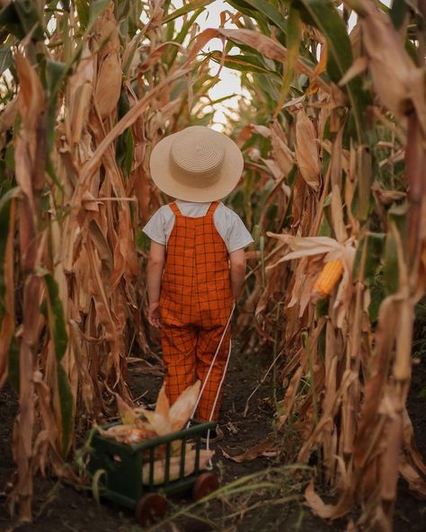 Fall Minis, Easter Photoshoot, Pumpkin Photos, Baby Photoshoot Boy, Farm Kids, Fall Family Pictures, Fall Mini, Photoshoot Themes, Kindergarten Art