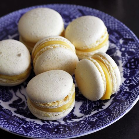 Giant Macaron, Macaron Cakes, Coffee Macarons, Lemon Biscotti, Macaron Cake, Pastry Board, Yellow Foods, Lemon Ginger, Global Cuisine