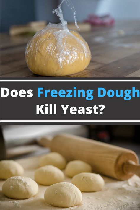 Learn how to preserve your excess bread and pizza dough so that you no longer have wasted bread. Freezing dough is an effective way to preserve bread since it allows you to use the dough when you're ready to bake but does it kill the yeast? If the dough is frozen - how long can it be stored in the freezer? All of this is covered in the article along with the most effective ways to freeze yeast dough and how to safely and properly thaw frozen dough. Freezer Bread Dough Recipe, Can You Freeze Bread Dough, Can You Freeze Pizza Dough, How To Store Pizza Dough, Freezer Bread Dough, How To Freeze Bread Dough, Freezer Dough Recipes, Freeze Bread Dough, Freezing Dough