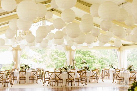 white paper lanterns wedding reception decor eventdecorator.com  Backyard Wedding Backyard Wedding Photography, White Paper Lanterns, Paper Lanterns Wedding, Wedding Ceiling, Paper Lantern Lights, Chinese Paper Lanterns, Wedding Backyard Reception, Backyard Reception, Lantern Ideas