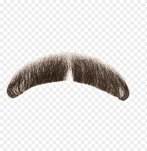 Mustache Png, Beard Png, French Mustache, Horseshoe Mustache, Fake Moustache, Realistic Costumes, Meme Png, Fake Mustache, Beard Costume