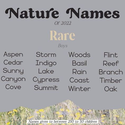 Cove Name Meaning, Nature Names, Rabbit Names, Sweet Baby Names, Best Character Names, Cool Baby Names, Fantasy Names, Baby Name List