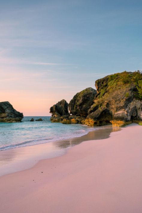 Join us in paradise! 🏖️ 

Discover Bermuda's pink sands and turquoise Waters! This Atlantic paradise blends British charm with breathtaking beauty. Stroll by pastel houses, enjoy 170 varieties of flowers, and savor the island's old world charm! ☀️

#Bermuda #Island #Paradise #Travel #Beach #Vacation #SeniorDiscoveryTours Bermuda Island, Bermuda Beaches, Senior Programs, Wallpaper Beach, Island Sunset, Paradise Travel, Pink Sand Beach, Island Pictures, Spicy Salsa