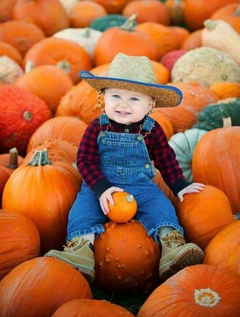 Baby photo shoot at the pumpkin patch Pumpkin Patch Pictures Baby, Pumpkin Patch Outfit Kids, Pumpkin Patch Photography, Fall Baby Photos, Fall Baby Pictures, Portret Feminin, Pumpkin Patch Photoshoot, Pumpkin Patch Pictures, Pumpkin Outfit