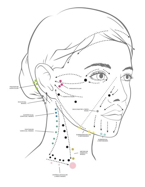 Lymph Drainage Massage, Full Body Massage Techniques, Neck Tension, Facial Massage Techniques, Face Massage Techniques, Drainage Massage, Body Massage Techniques, Lymph Fluid, Lymph Massage