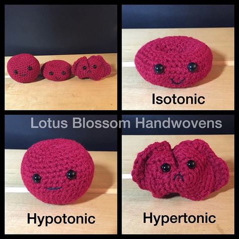 Lotus Blossom HW on Instagram: “Don't you just love these little red cells I made?! They are now available in my Etsy shop LotusBlossomHW. Direct link to this product will be in the comments. Waldorf Montessori, Gifts For Nurses, Stitch Witchery, Crochet Hat For Women, Red Blood, Lotus Blossom, Crochet Stuff, Needle Art, Anatomy Art