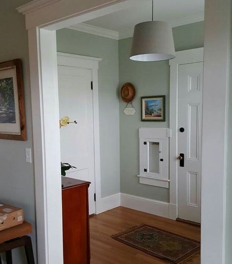 Valspar sparkling sage Valspar Sparkling Sage, Guest Room Paint, Valspar Paint Colors, Dutch Colonial Homes, Valspar Colors, Home Remodel Before And After, Interior Paint Colors Schemes, Colonial Home, Dutch Colonial