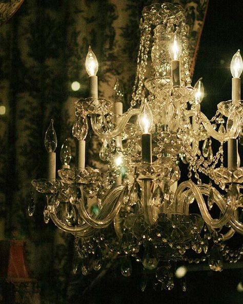 <3 Chandelier Art, Antique Chandelier, Beautiful Chandelier, Beautiful Lighting, Chandelier Lamp, French Quarter, The Ceiling, Draco Malfoy, Dream Homes