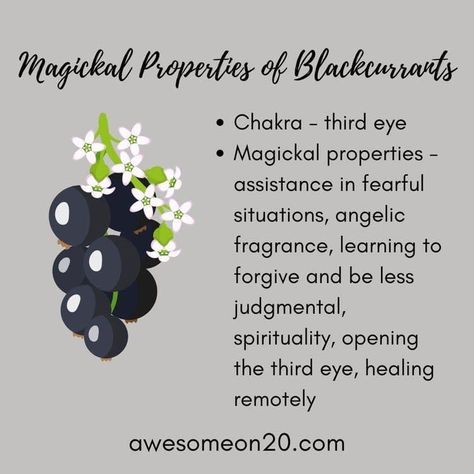 Garden Witchcraft, Spell Components, Magick Herbs, Kitchen Witchcraft, Kitchen Magick, Herbal Witch, Open Your Third Eye, Food Magic, Kitchen Witch Recipes