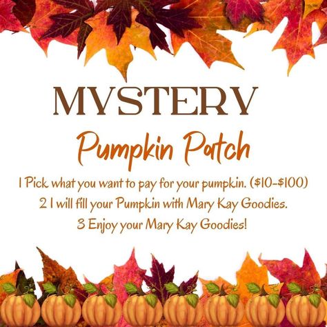 Fall Mary Kay Ideas, Mary Kay Placing An Order, Mary Kay Fall 2024, Mary Kay Halloween, Mary Kay Holiday, Promotion Ideas, Mary Kay Party, Mary Kay Consultant, Mary Kay Business