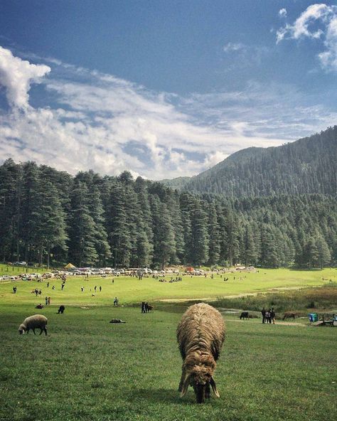 💕 . Khajjiar | Chamba Himachal Pradesh . Photo By- @hrafna_floki (Vishal Thakur) #Follow . For Feature Hashtag Your Pictures/Videos With #InstaHimachal . Hills Are Vulnerable, Say No To Plastic, Snacks and Water Bottles. Save Himalayas, Don't Litter on Mountains. Help Your Mother Nature, Help Yourself . #BBCTravel #BBCEarth #CNTraveler #TravelTheWorld #PassionPassport #Travelingram #Travellog #TravelOften #PostCardPlaces #MeetTheWorld #Travelista #TravelVibes #InstaPassport #GlobeTrotting #Trav Hd Background Download, States Of India, Travel Log, Jw Marriott, Himachal Pradesh, Travel Photo, Beautiful Places To Travel, India Travel, Mother Nature