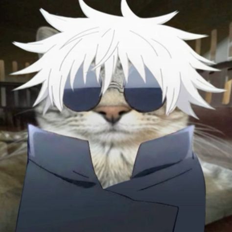 Best Anime Series, Anime Kitten, Logo Game, Cat Profile, The Best Anime, Dog Icon, Funny Animal Photos, The Promised Neverland, Silly Cats Pictures