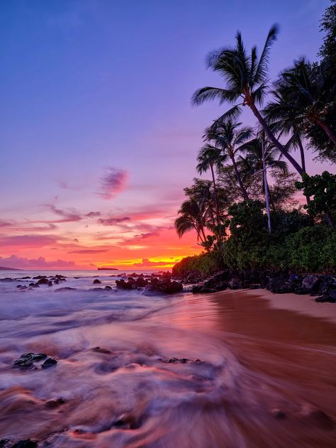 Palm In Paradise | Maui, Hawaii | Andrew Shoemaker Sunrise Photography Beach, Maui Hawaii Aesthetic, Ocean Images, Hawaiian Sunset, Hawaii Pictures, Maui Beach, Hawaii Photography, Hawaii Art, Maui Travel