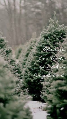 Christmas Christian Aesthetic, Christian Christmas Wallpaper Iphone, Holiday Lockscreen, Bible Verse Backgrounds, Cookie Projector, Verse Backgrounds, Christmas Lockscreen, Woord Van God, Christmas Verses