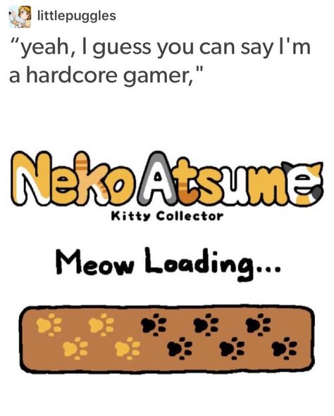 Neko Atsume Kitty Collector, Kitty Collector, Neko Atsume, Kitty Games, Fresh Memes, I Laughed, Funny Animals, Kitty, Humor