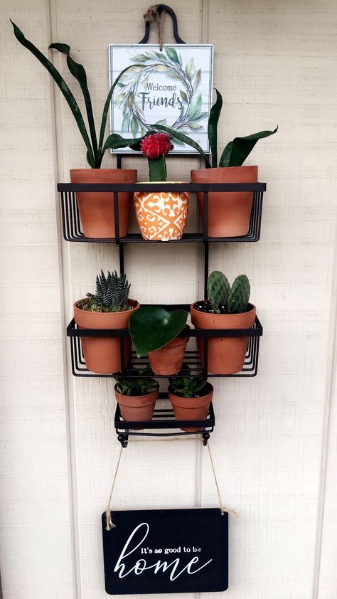 Outdoor Shower Caddy Ideas, Shower Caddy Plant Holder, Shower Caddy Ideas, Bathroom Jungle, Shower Caddy, Plant Holder, Plant Lady, Outdoor Shower, Plant Holders