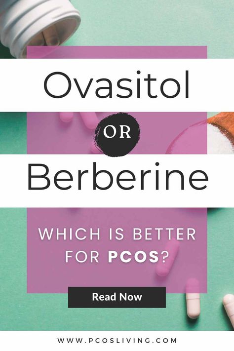 Insulin Resistance Supplements, Berberine Benefits, Fructose Malabsorption, Myo Inositol, Liver Issues, Lipid Profile, Polycystic Ovarian Syndrome, Hormone Balance, Back Pain Exercises