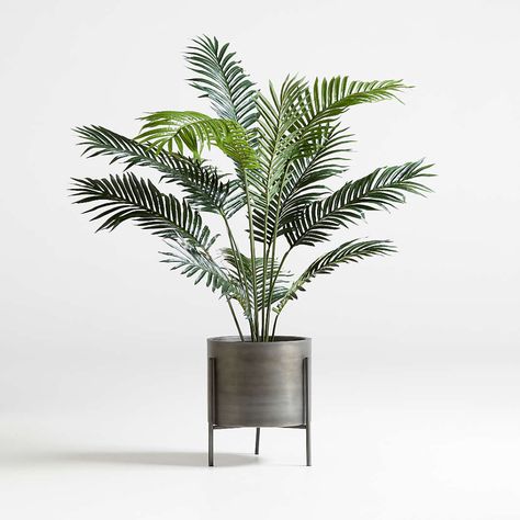 Artificial and Faux Plants, Flowers & Trees | Crate & Barrel Californian Bedroom, Faux Plants Living Room, Fake Indoor Plants, Faux Palm Tree, Bd Design, Tropical Greenery, Artificial Potted Plants, Winter Plants, Palm Plant