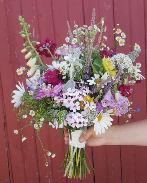 Daisy And Wildflower Bouquet, Wild Flower Wedding Arrangements, Purple Wildflowers Aesthetic, Lavender Wildflower Bouquet, Spring Wild Flower Bouquet, Late Summer Wildflower Bouquet, Wild Flower Bridesmaid Bouquet, Wild Flower Wedding Bouquet Summer, Wild Bridal Bouquet