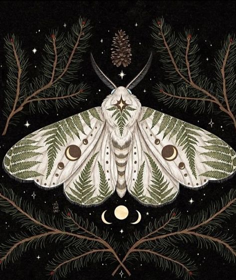 Mystery Art, White Moth, Fern Art, Moth Illustration, Mystic Illustration, Nature Illustrations, Lunar Moth, Business Graphics, Moth Art