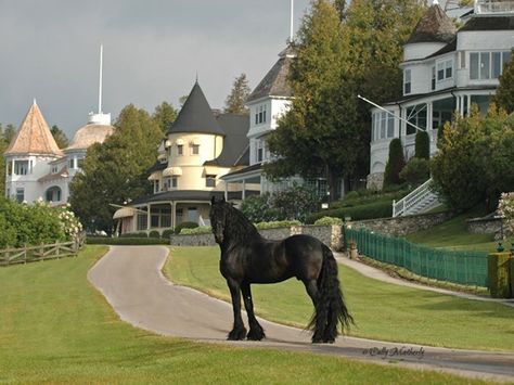 Up North Michigan, Mackinaw Island, Friesian Horses, Mackinac Island Michigan, Mackinaw City, Somewhere In Time, Michigan Travel, Victorian Architecture, Mackinac Island