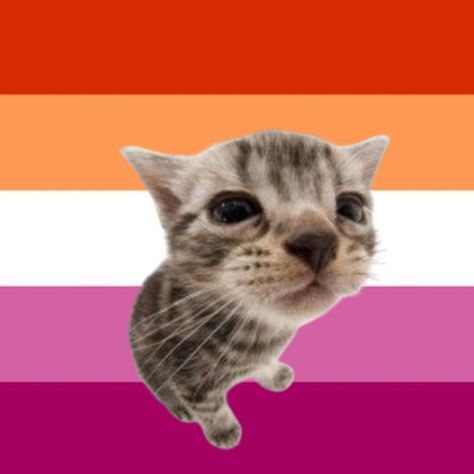 Lgbt Pride, Mood Pics, No. 2, Best Friends, Memes, Animals, Art