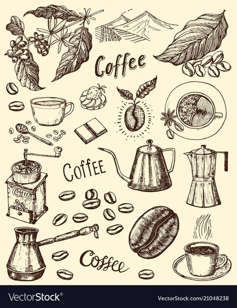 Coffee Elements Illustrations, Filter Coffee Illustration, Coffee Drawing Illustration, Coffee Illustration Design, Coffee Elements, Coffee Sketch, Tattoo Cafe, Art Of Coffee, Coffee Doodle