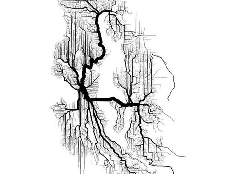 Data visualization of biking and walking paths in Seattle    via Brandon Maritn-Anderson Roots Drawing, Evolution Art, Bloomberg Businessweek, Concept Diagram, Tree Roots, Design Tattoo, Global Economy, Map Design, Data Visualization