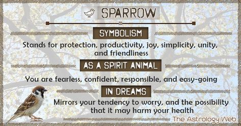 Sparrow Meaning, Bird Symbolism Meaning, Sparrow Symbolism, Bird Signs, Bird Symbolism, Animal Totem Spirit Guides, Small Wave Tattoo, Happy Prince, Spirit Animal Meaning