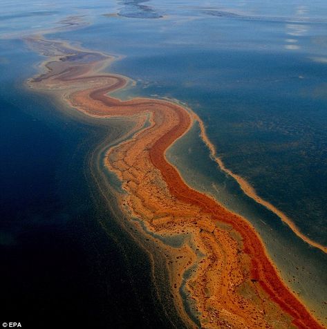 Deepwater Horizon Oil Spill, Oil Pollution, Deepwater Horizon, Marine Pollution, Ocean Pollution, Sea Floor, Oil Well, Water Pollution, Oil Spill