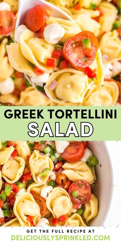 Your Memorial Day dinner menu must have this easy cheese tortellini pasta salad! Tossed in a zesty dressing with veggies and mozzarella, this Greek Tortellini Salad tastes so good. This fresh summer salad is great as a Cinco de Mayo side dish recipe, too! Cheese Tortellini Pasta Salad, Memorial Day Dinner, Cheese Tortellini Salad, Cheese Tortellini Pasta, Greek Tortellini, Tortellini Pasta Salad Recipes, Greek Tortellini Salad, Olive Garden Dressing, Tortellini Pasta Salad